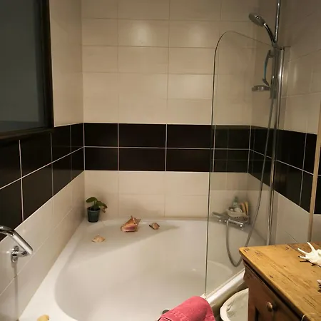 Cocon Pyreneen Apartment Oloron-Sainte-Marie