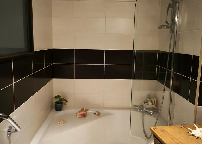 Cocon Pyreneen Apartment Oloron-Sainte-Marie